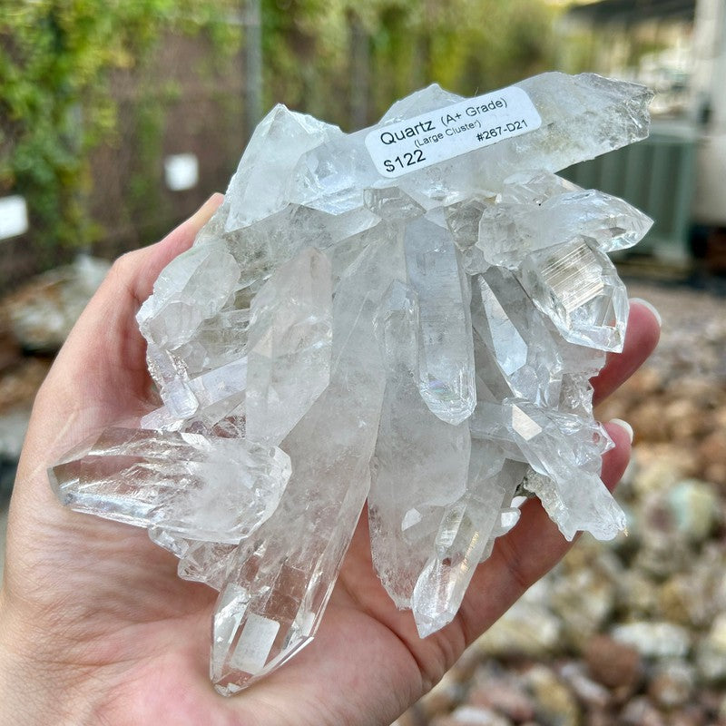 A+ Grade Quartz Cluster Piece || Trunk Show-Nature's Treasures