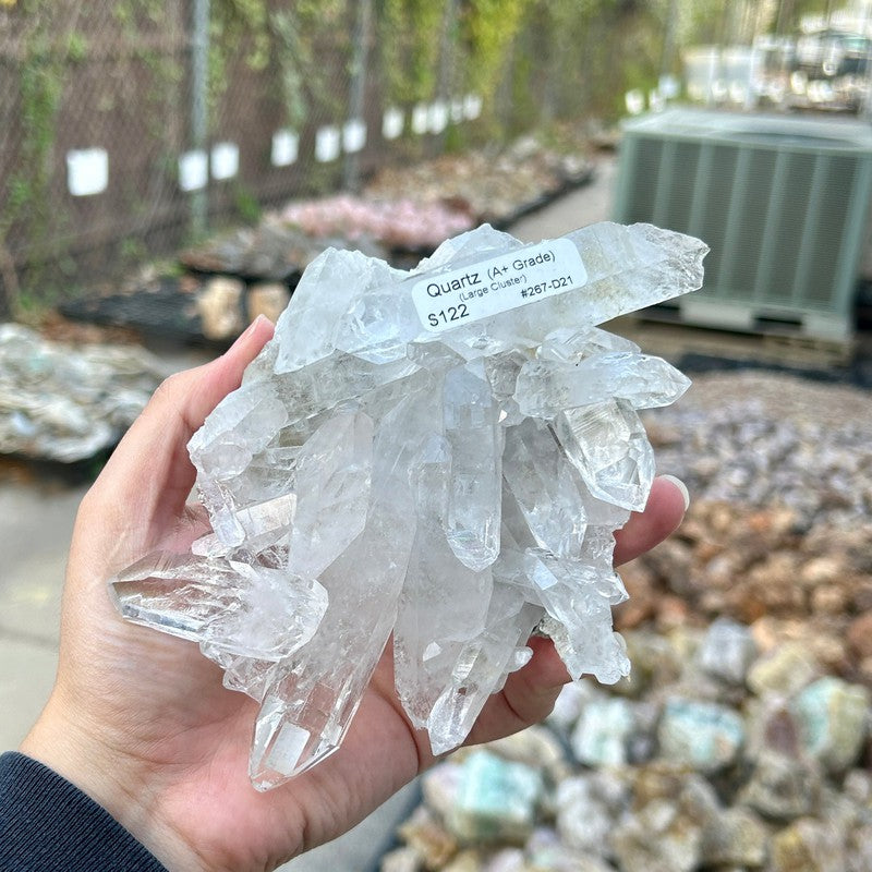 A+ Grade Quartz Cluster Piece || Trunk Show-Nature's Treasures