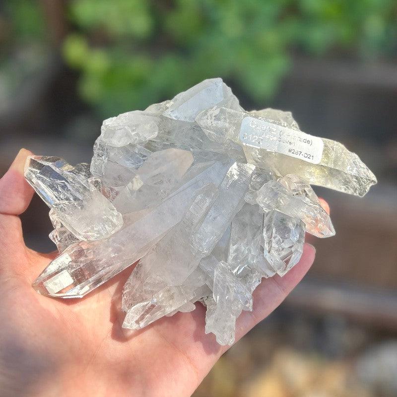 A+ Grade Quartz Cluster Piece || Trunk Show-Nature's Treasures