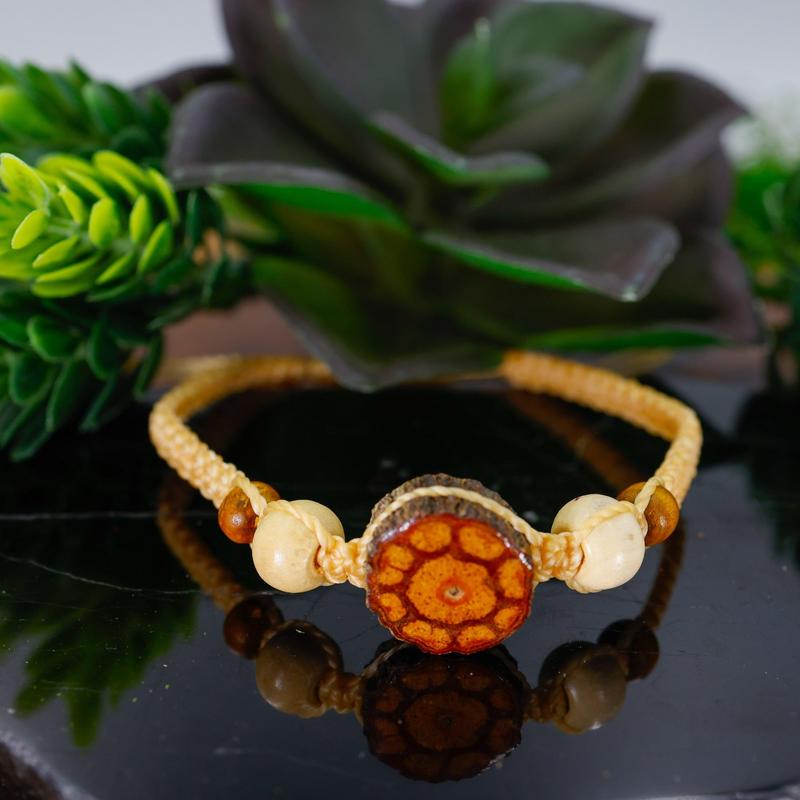 Adjustable Ayahuasca Beaded Bracelets || Trunk Show – Nature's Treasures