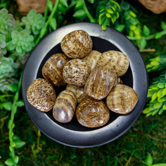 Banded Aragonite Tumbled Stone-Nature's Treasures