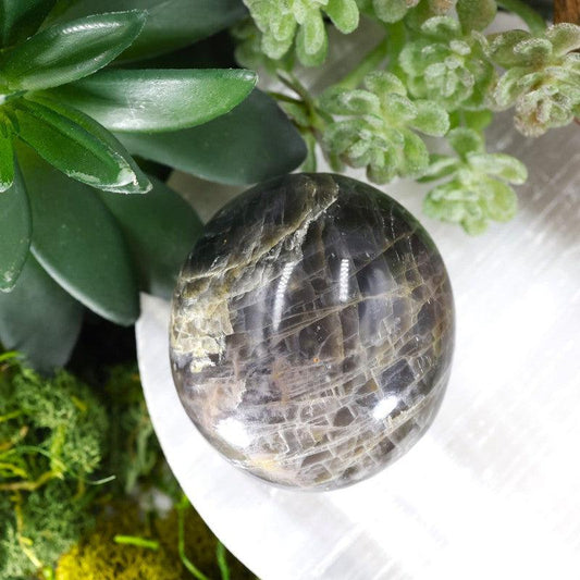 Black Moonstone Gallet Palm Stones || Protection || Madagascar-Nature's Treasures