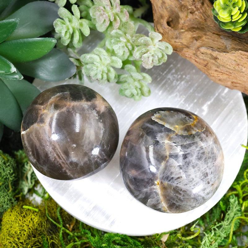 Black Moonstone Gallet Palm Stones || Protection || Madagascar