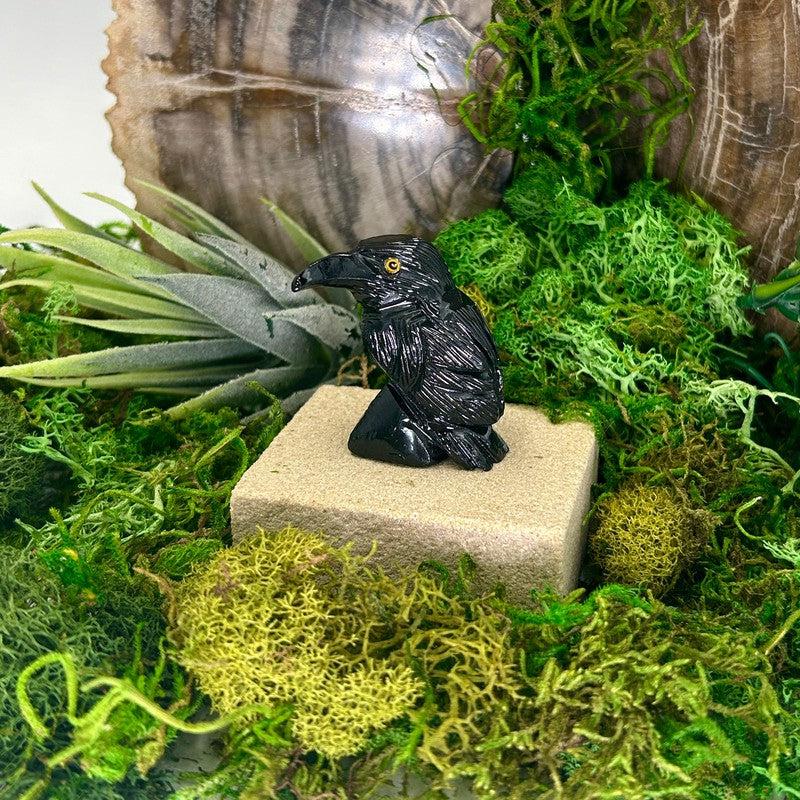 Black Onyx Raven Carvings || Wisdom, Balance || Peru-Nature's Treasures