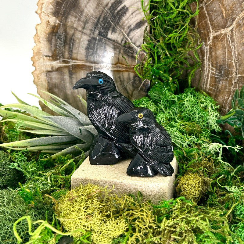 Black Onyx Raven Carvings || Wisdom, Balance || Peru-Nature's Treasures