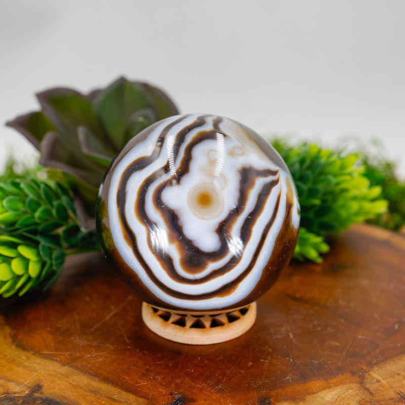 Black Sardonyx 55MM Spheres || Trunk Show-Nature's Treasures