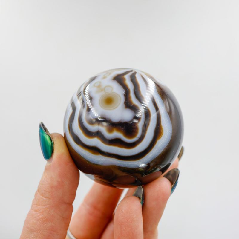 Black Sardonyx 55MM Spheres || Trunk Show-Nature's Treasures