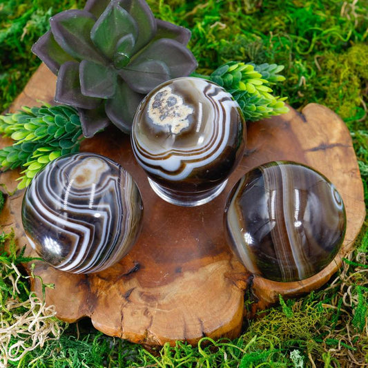 Black Sardonyx 55MM Spheres || Trunk Show-Nature's Treasures