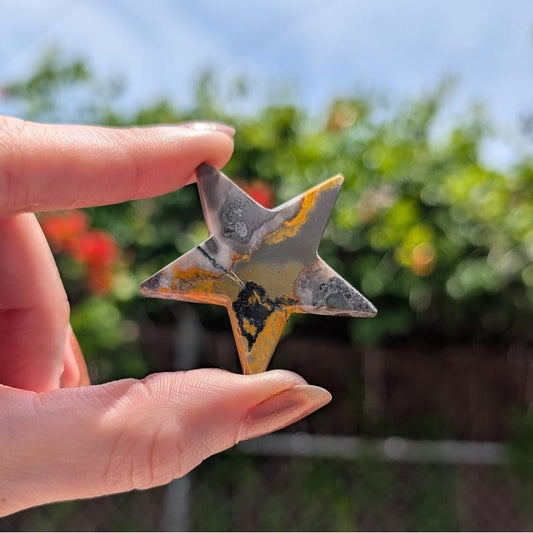 Bumblebee Jasper Moon & Star Carvings || Trunk Show-Nature's Treasures