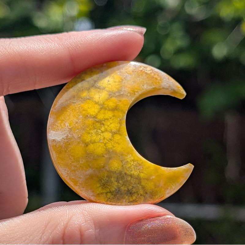 Bumblebee Jasper Moon & Star Carvings || Trunk Show-Nature's Treasures