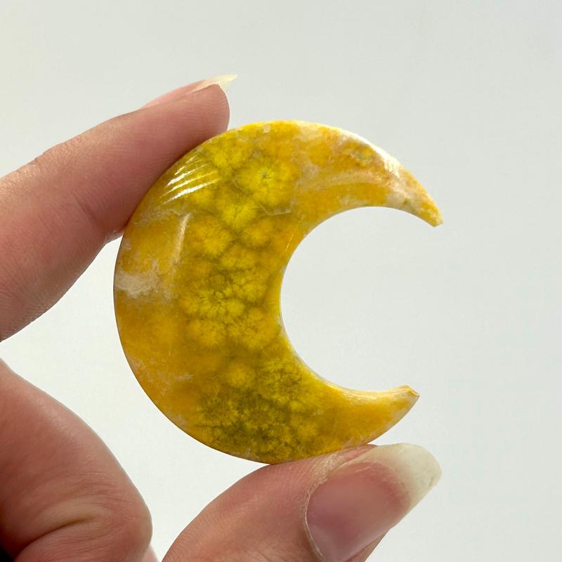 Bumblebee Jasper Moon & Star Carvings || Trunk Show-Nature's Treasures