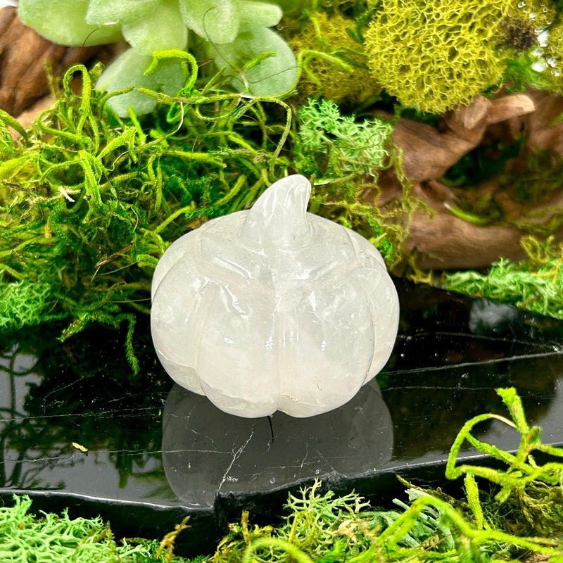 Crystal Pumpkin Carvings || Trunk Show-Nature's Treasures