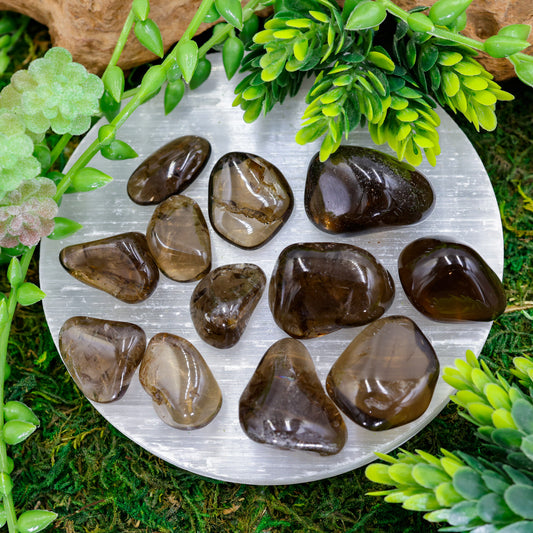 Natural Gemy Dark Smoky Quartz Polished Tumbles || || Brazil