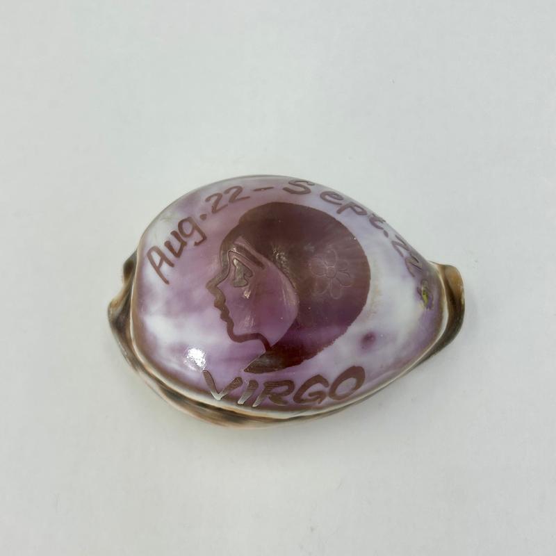 Decorative Zodiac Cowrie Sea Shells || Trunk Show-Nature's Treasures