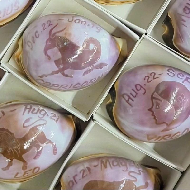 Decorative Zodiac Cowrie Sea Shells || Trunk Show-Nature's Treasures