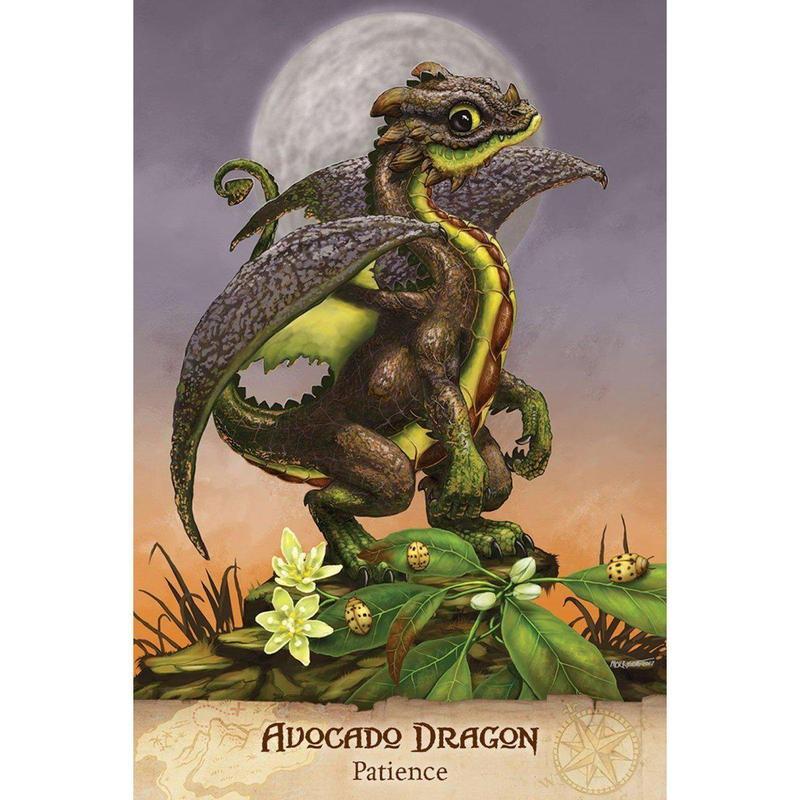 Field Guide to Dragons Oracle Deck-Nature's Treasures