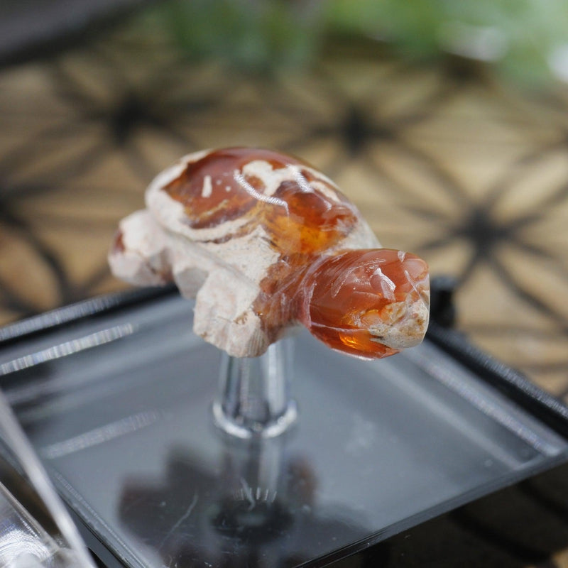 Fire Opal Turtle Carving || Passion, Creativity || Chihuahua, Mexico-Nature's Treasures