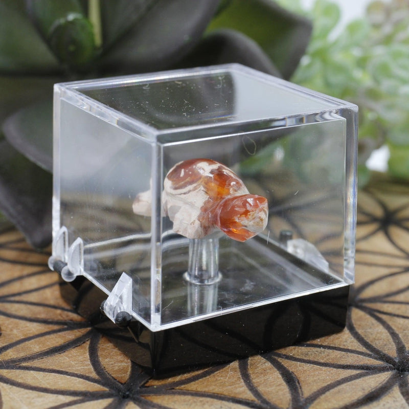 Fire Opal Turtle Carving || Passion, Creativity || Chihuahua, Mexico-Nature's Treasures