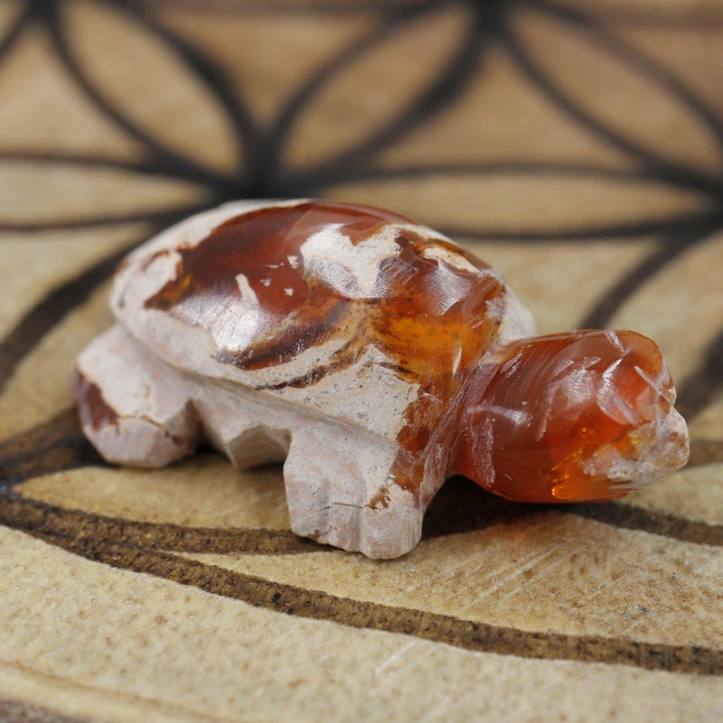 Fire Opal Turtle Carving || Passion, Creativity || Chihuahua, Mexico-Nature's Treasures