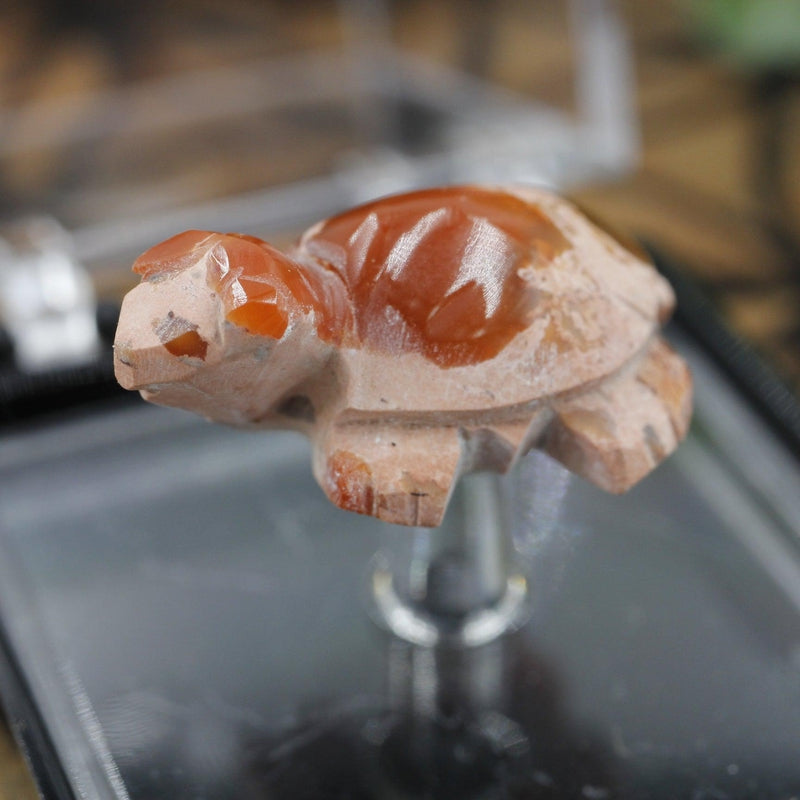 Fire Opal Turtle Carving || Passion, Creativity || Chihuahua, Mexico-Nature's Treasures