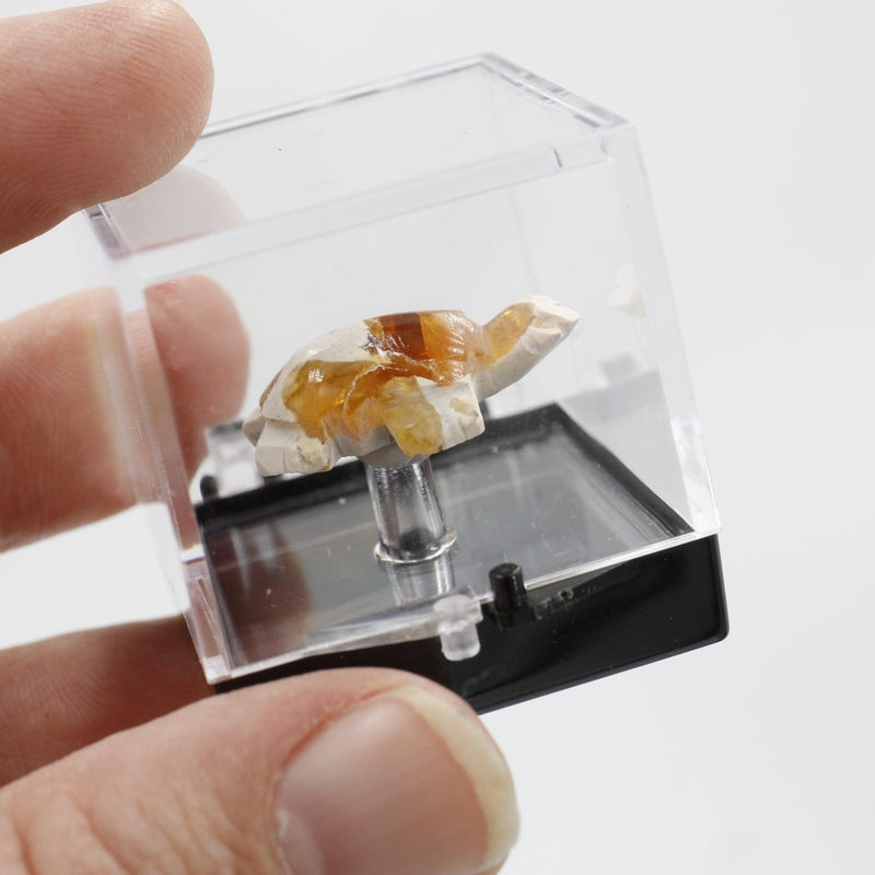 Fire Opal Turtle Carving || Passion, Creativity || Chihuahua, Mexico-Nature's Treasures