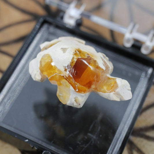 Fire Opal Turtle Carving || Passion, Creativity || Chihuahua, Mexico-Nature's Treasures