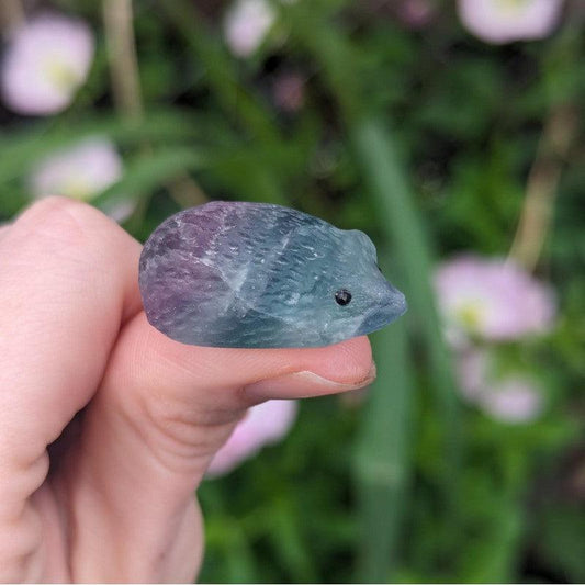 Fluorite Hedgehog Crystal Carvings-Nature's Treasures