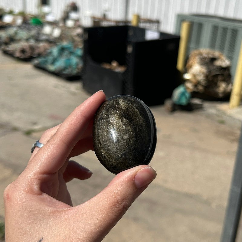 Gold Sheen Obsidian Palm Stones-Nature's Treasures