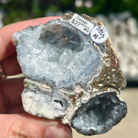 Half Cut Druzy Cluster Geode || Trunk Show-Nature's Treasures