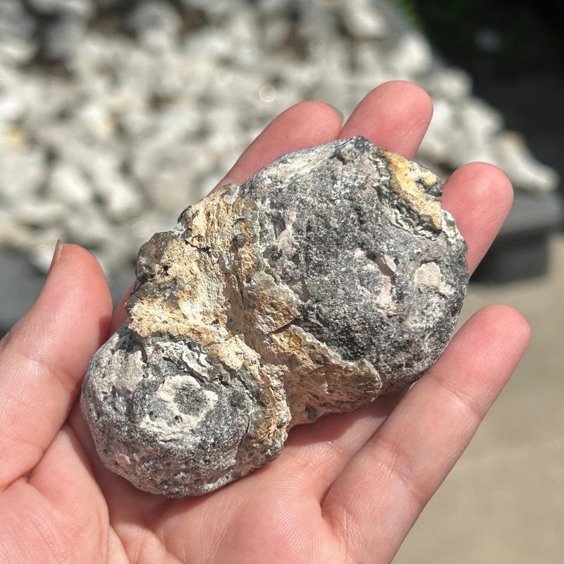 Half Cut Druzy Cluster Geode || Trunk Show-Nature's Treasures