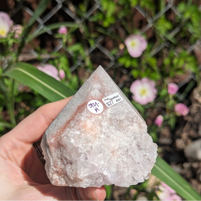 Half Polished Amethyst Points Cut Base-Nature's Treasures