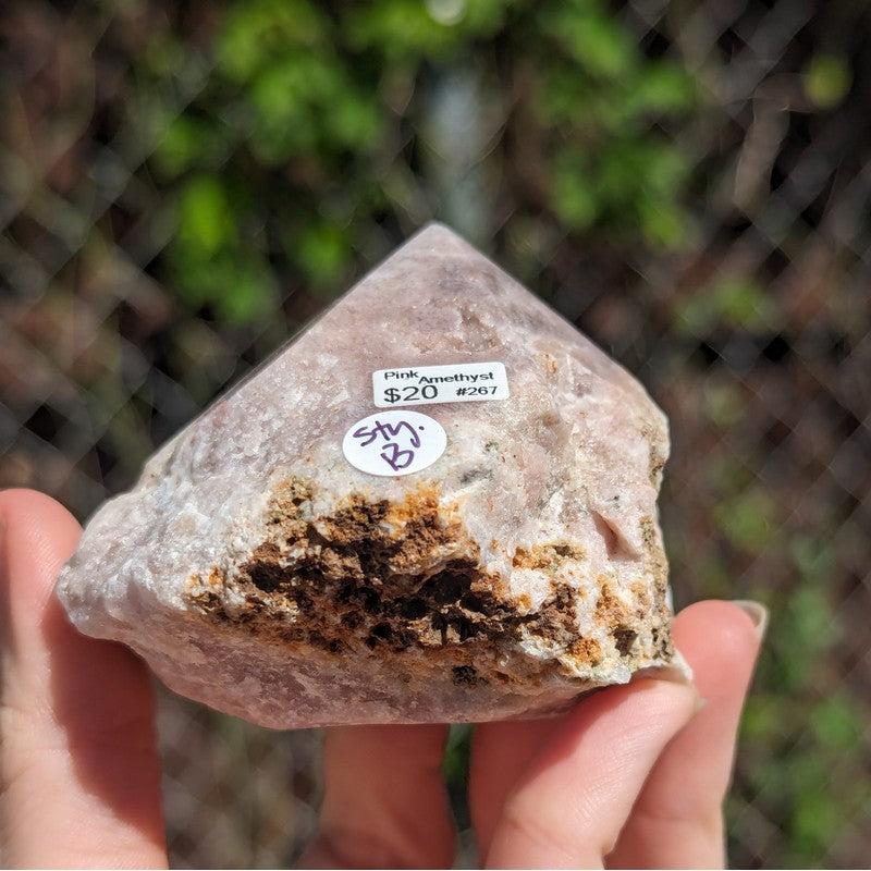 Half Polished Amethyst Points Cut Base-Nature's Treasures