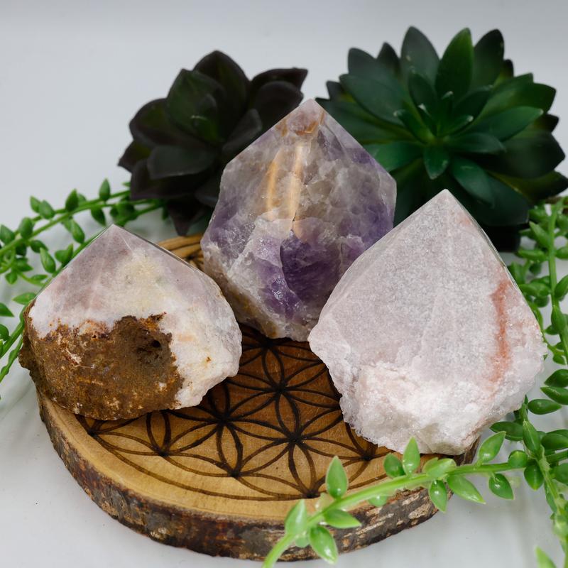 Half Polished Amethyst Points Cut Base-Nature's Treasures