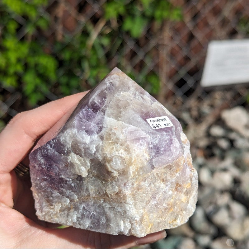 Half Polished Amethyst Points Cut Base