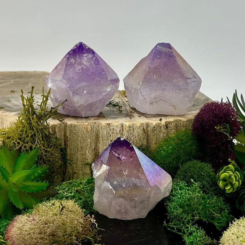 Half Polished Aura Coated Amethyst Points || Brazil-Nature's Treasures