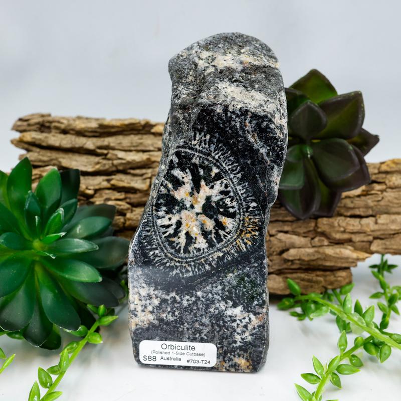 Half Polished Orbiculite Granite Free Form-Nature's Treasures