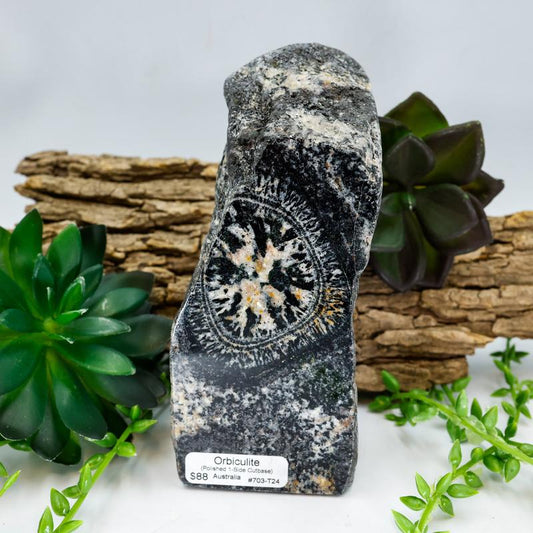 Half Polished Orbiculite Granite Free Form-Nature's Treasures