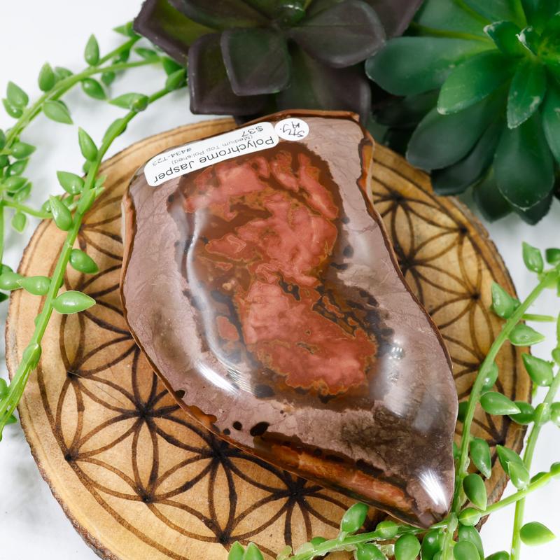 Half Polished Polychrome Jasper-Nature's Treasures