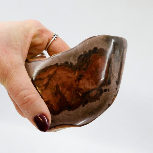 Half Polished Polychrome Jasper-Nature's Treasures