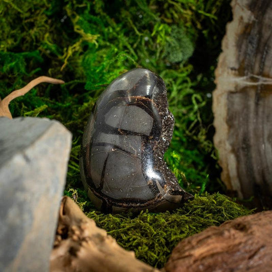 Half Polished Septarian Dragon Cluster Eggs || Madagascar-Nature's Treasures