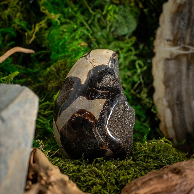Half Polished Septarian Dragon Cluster Eggs || Madagascar-Nature's Treasures