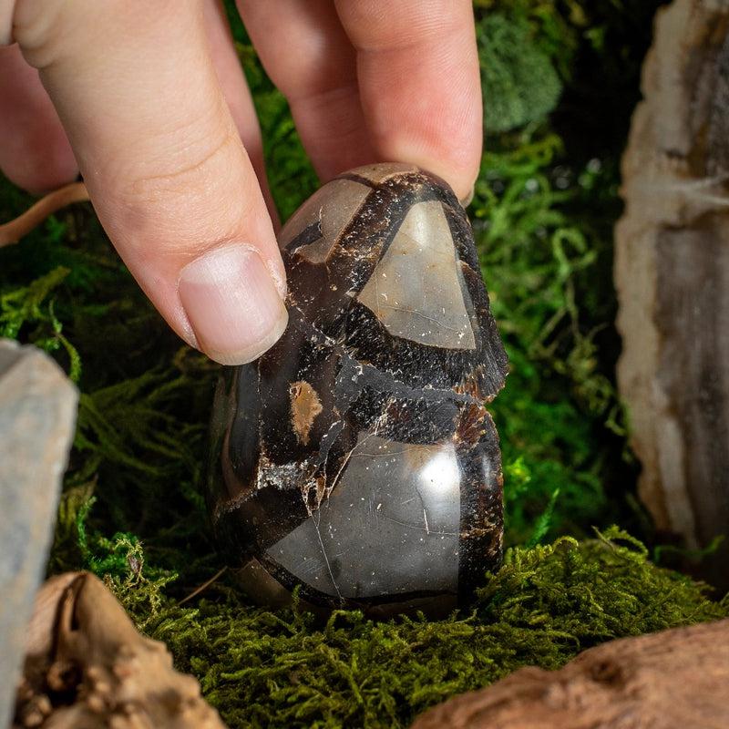 Half Polished Septarian Dragon Cluster Eggs || Madagascar-Nature's Treasures