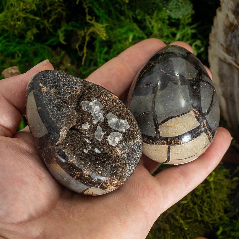 Half Polished Septarian Dragon Cluster Eggs || Madagascar-Nature's Treasures