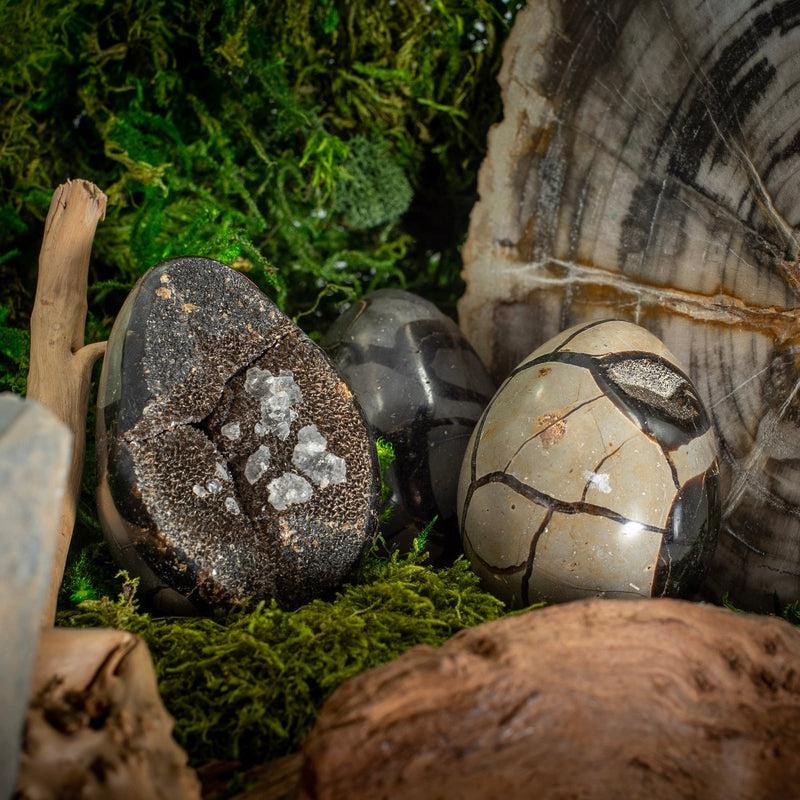 Half Polished Septarian Dragon Cluster Eggs || Madagascar-Nature's Treasures