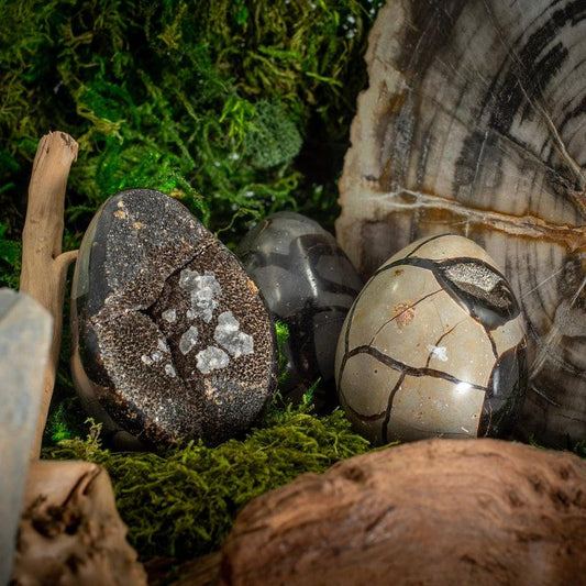 Half Polished Septarian Dragon Cluster Eggs || Madagascar-Nature's Treasures