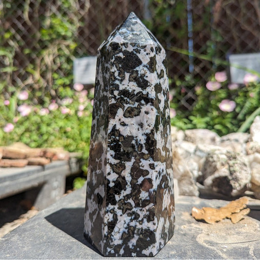 Indigo Gabbro Tower Point-Nature's Treasures