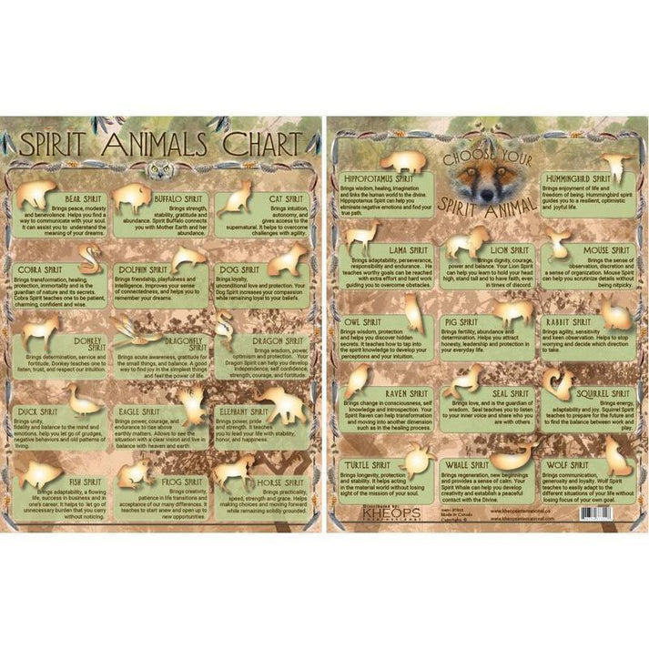 Information Chart of Spirit Animals Nature's Treasures