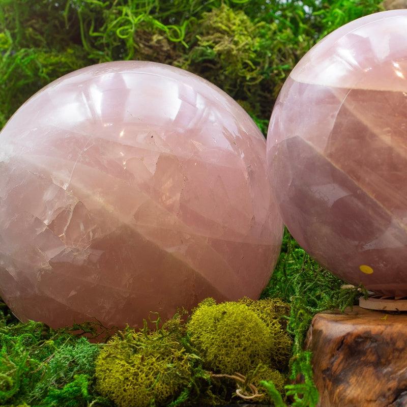 Jumbo 6 Star Rose Quartz Spheres 90 MM To 150 MM || Madagascar-Nature's Treasures