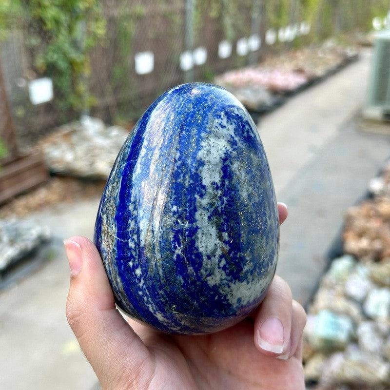 Jumbo Lapis Lazuli Egg || Trunk Show-Nature's Treasures