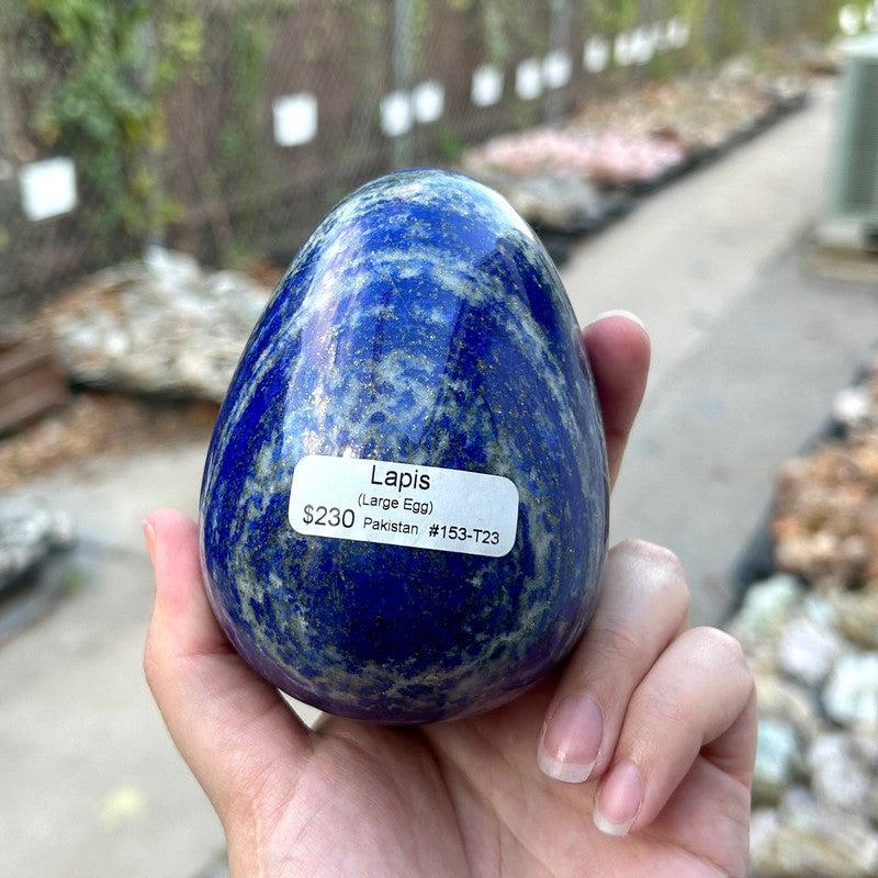 Jumbo Lapis Lazuli Egg || Trunk Show-Nature's Treasures